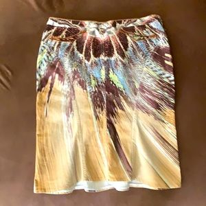 Roberto Cavalli skirt